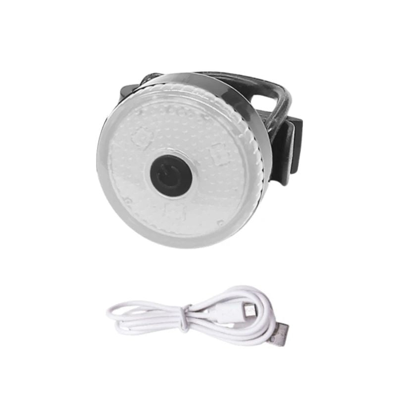 Collier chien | LumiCollier
