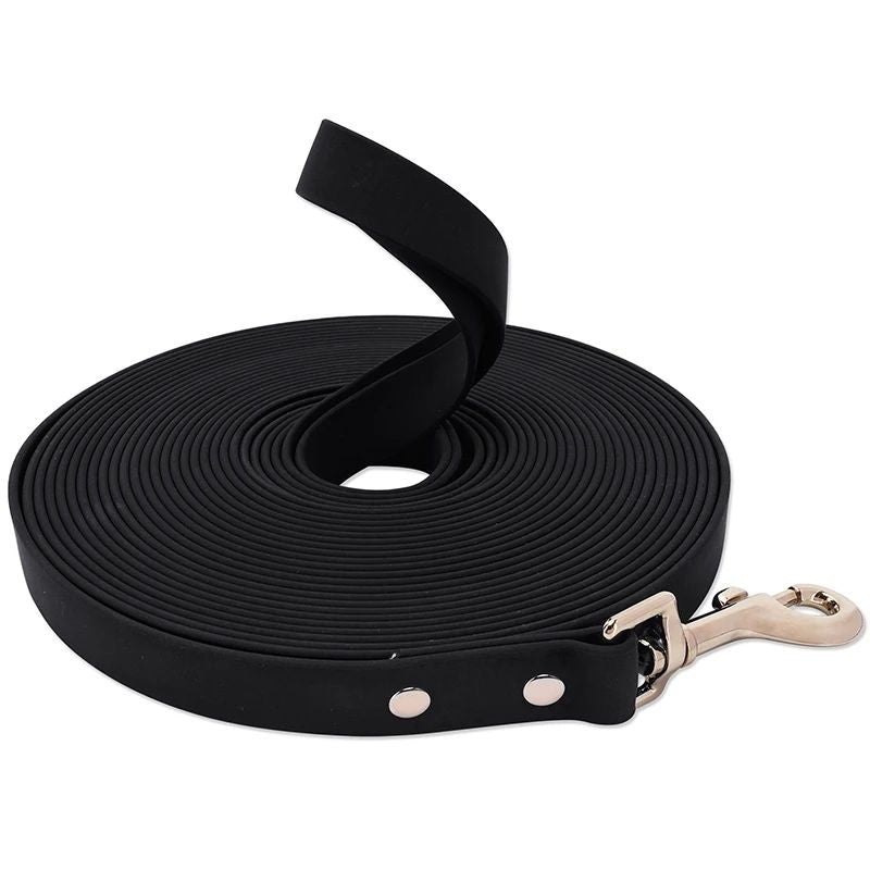 Laisse pour chien | canilune