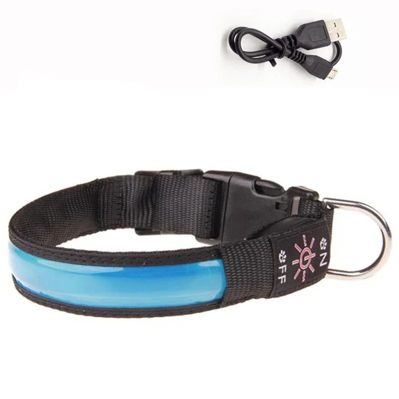 Colliers lumineux pour chiens | Lumidog