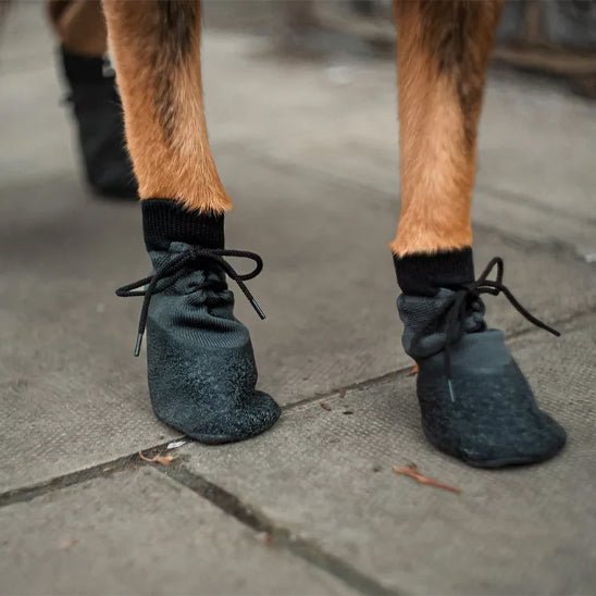 Chaussure chien | Caniboot - empire chien