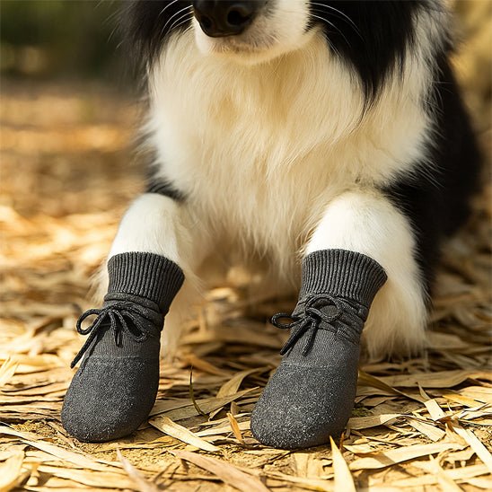 Chaussure chien | Caniboot - empire chien