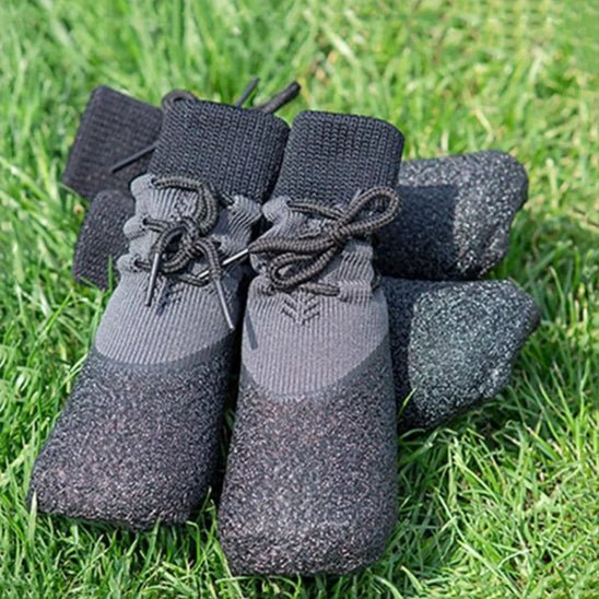 Chaussure chien | Caniboot - empire chien