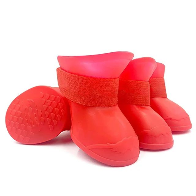 Chaussure chien | chausToutou - empire chien