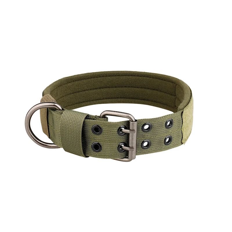 Collier chien | Bravox - empire chien