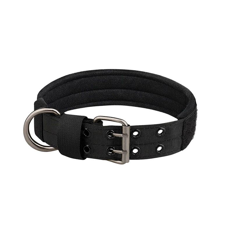 Collier chien | Bravox - empire chien