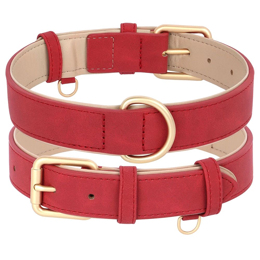 Collier chien | ColliChic - empire chien