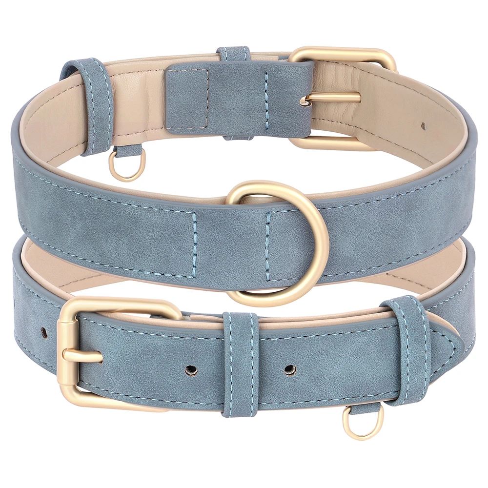 Collier chien | ColliChic - empire chien