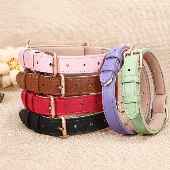 Collier chien | ColliChic - empire chien