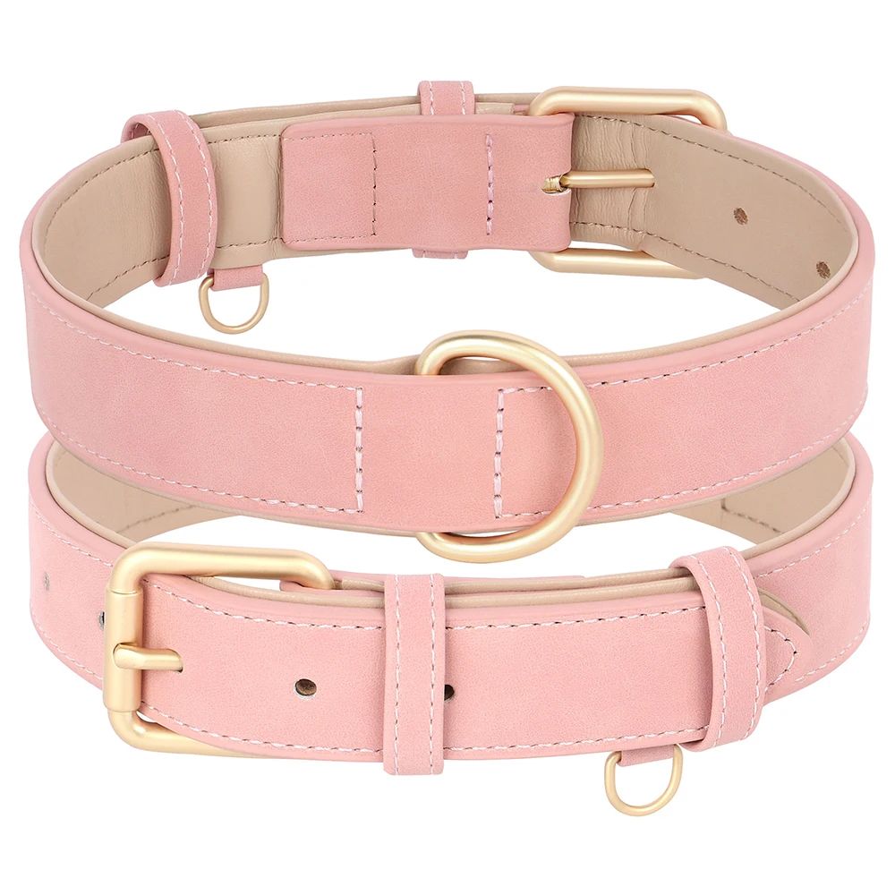 Collier chien | ColliChic - empire chien