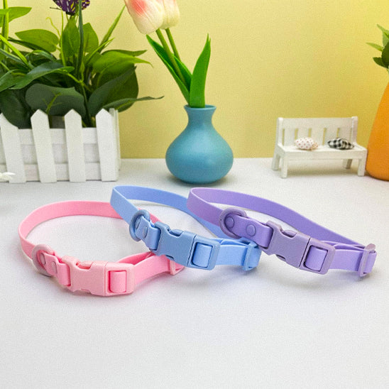 collier chien couleurs