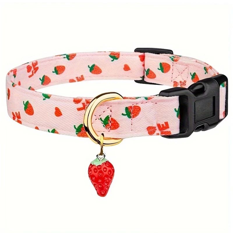 Collier chien | Fruitycollier - empire chien
