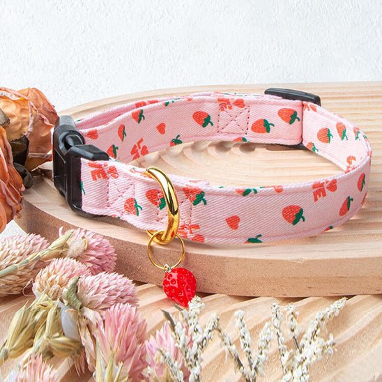 Collier chien | Fruitycollier - empire chien