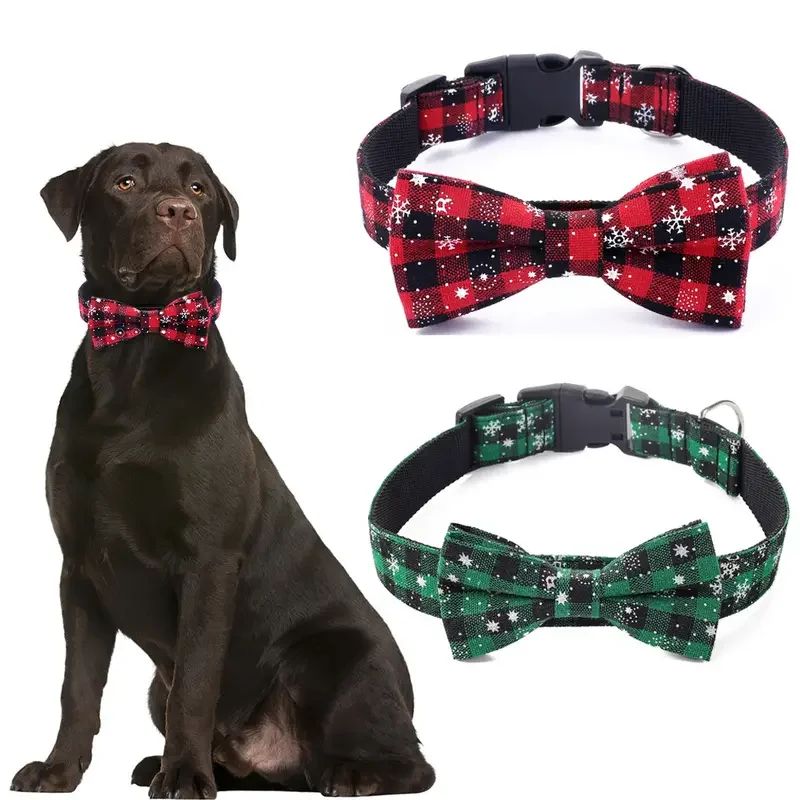Collier chien | Noëlichien - empire chien
