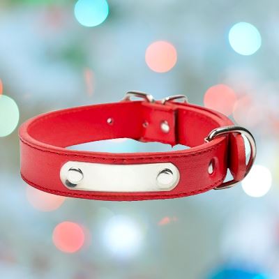 Collier de Chien - LeatherDogCollar™ - Rouge - empire chien