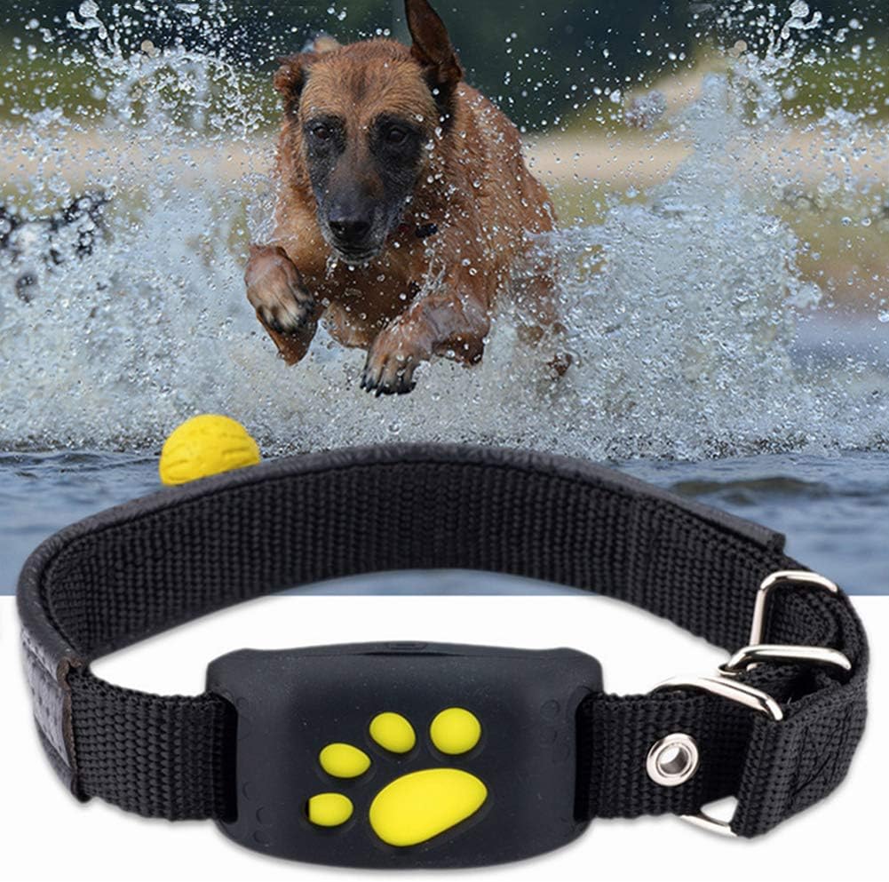 Collier gps chien | GPSChien - empire chien