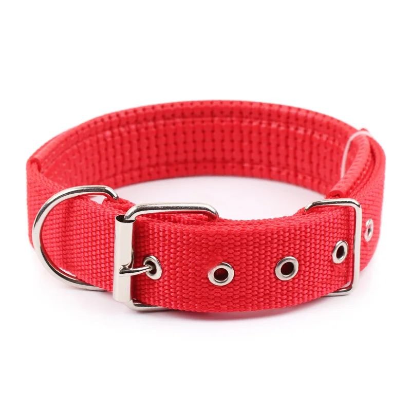 Collier pour chien | Collierzen - empire chien