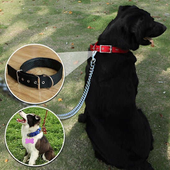 Collier pour chien | Collierzen - empire chien