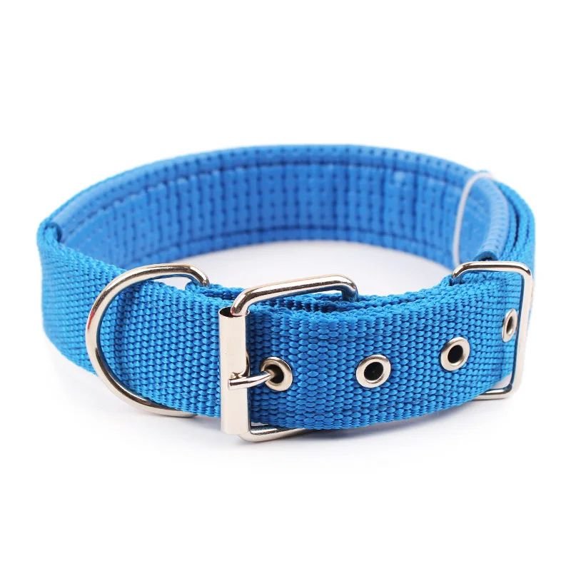 Collier pour chien | Collierzen - empire chien