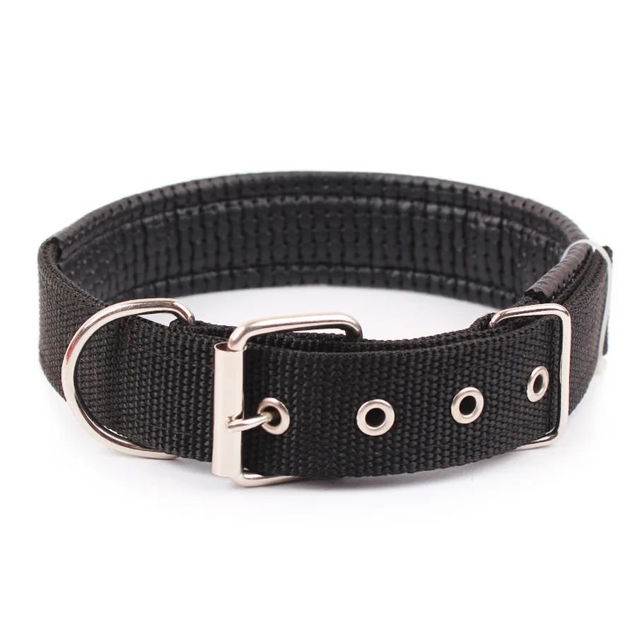 Collier pour chien | Collierzen - empire chien