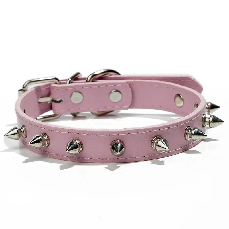Collier pour chien | Collipik - empire chien