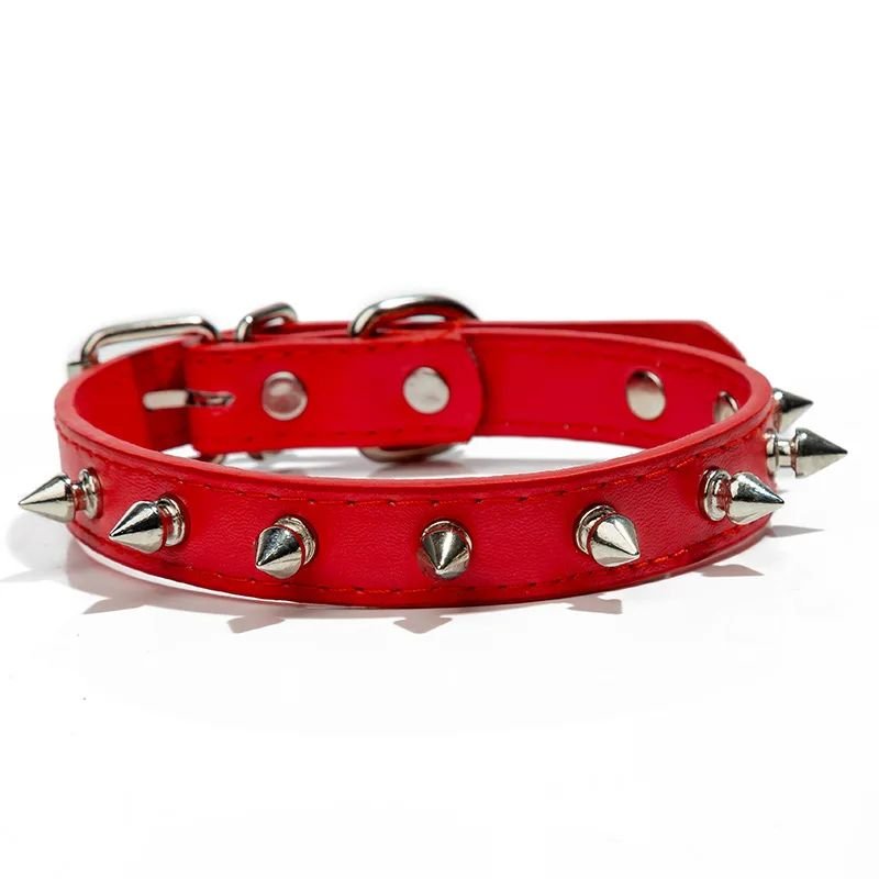 Collier pour chien | Collipik - empire chien