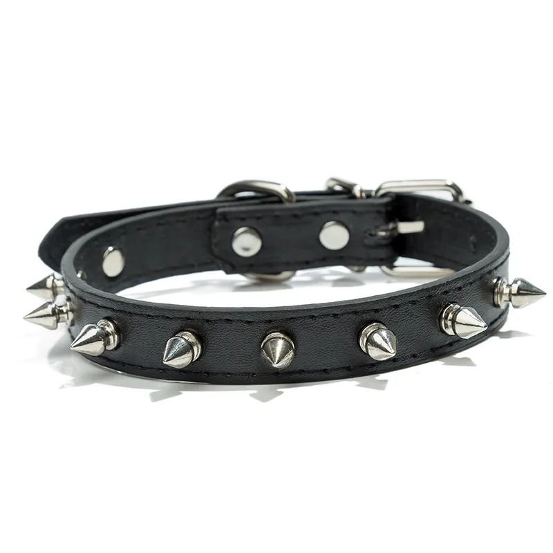 Collier pour chien | Collipik - empire chien