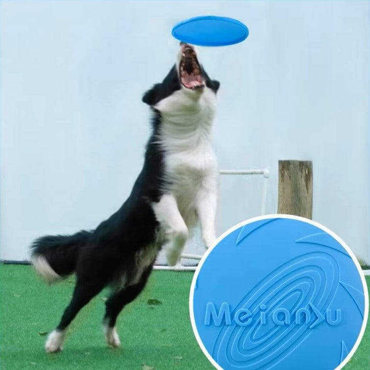 FlyDogâą - Bleu - empire chien