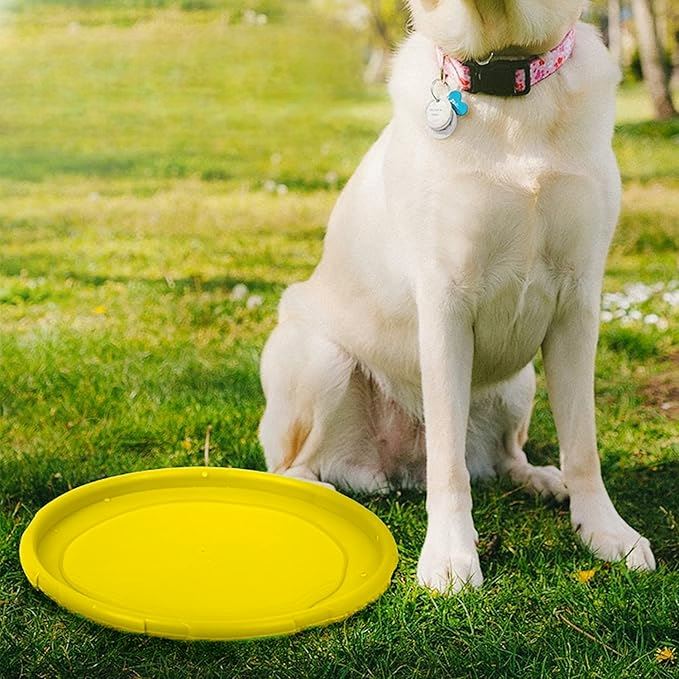 Frisbee - FlyDogâą - Jaune - empire chien