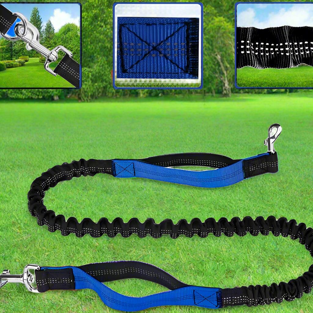 HandFreeDogLeash™ - Bleu - empire chien