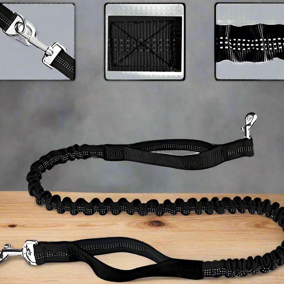 HandFreeDogLeash™ - Noir - empire chien