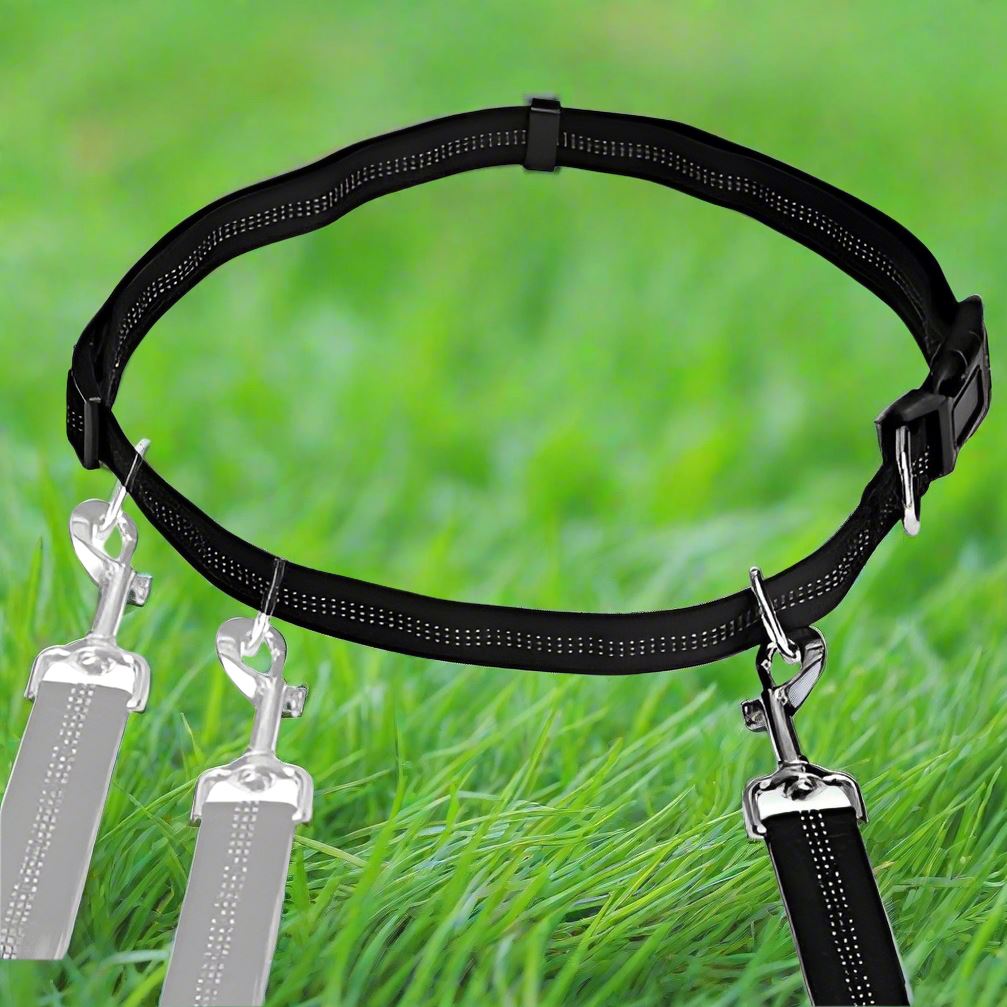 HandFreeDogLeash™ - Noir - empire chien