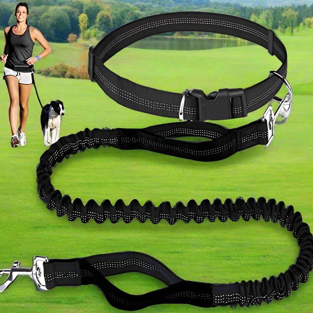 HandFreeDogLeash™ - Noir - empire chien