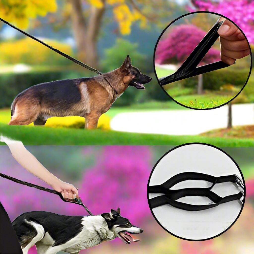 HandFreeDogLeash™ - Noir - empire chien