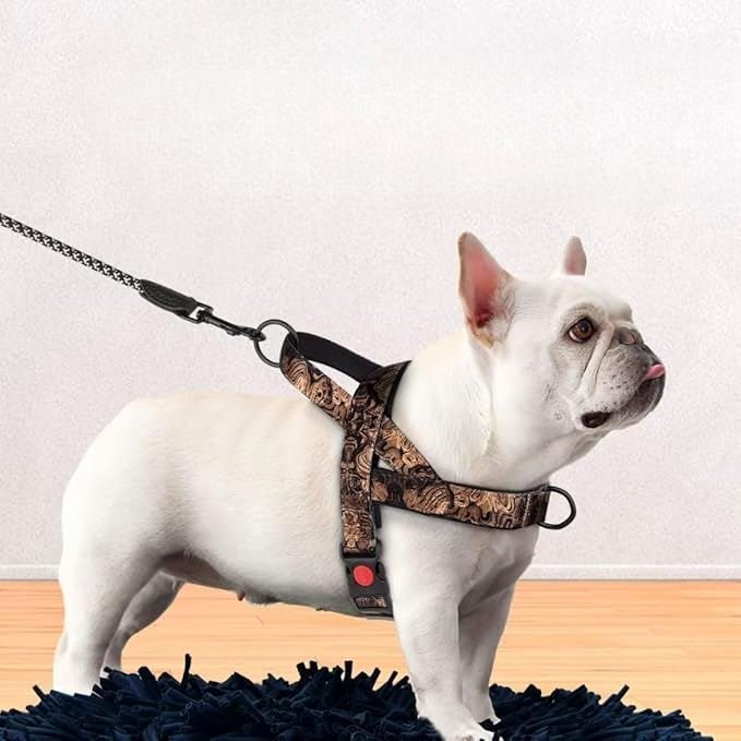 Harnais pour chien - DogSafeHarness™ - Noir Doré - empire chien