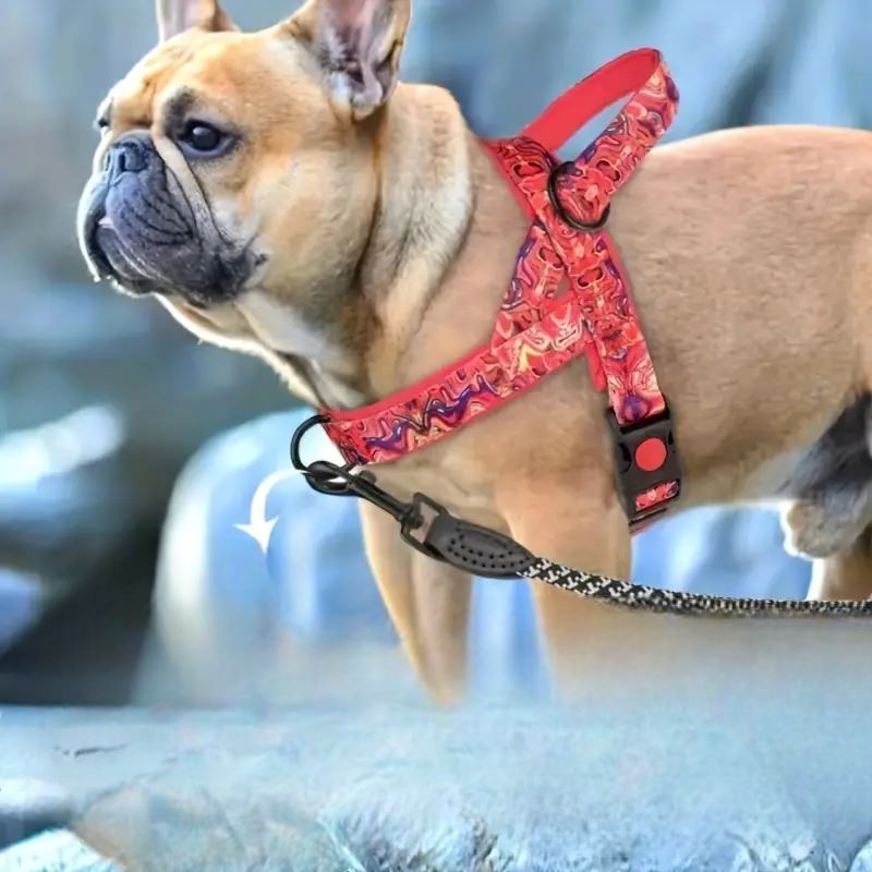 Harnais pour chien - DogSafeHarnessâą - Rouge - empire chien