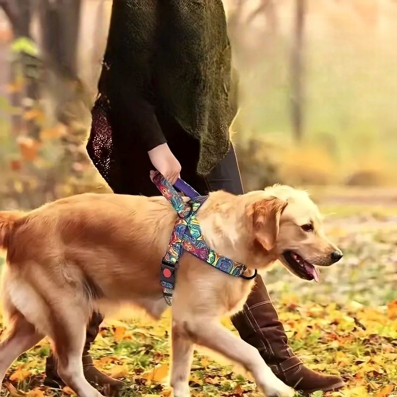 Harnais pour chien - DogSafeHarnessâą - Violet - empire chien