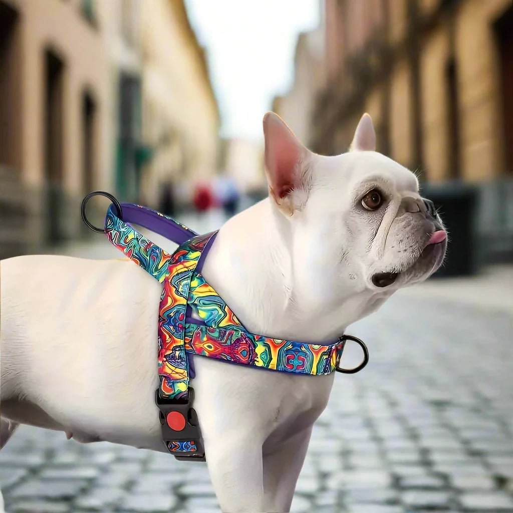 Harnais pour chien - DogSafeHarnessâą - Violet - empire chien
