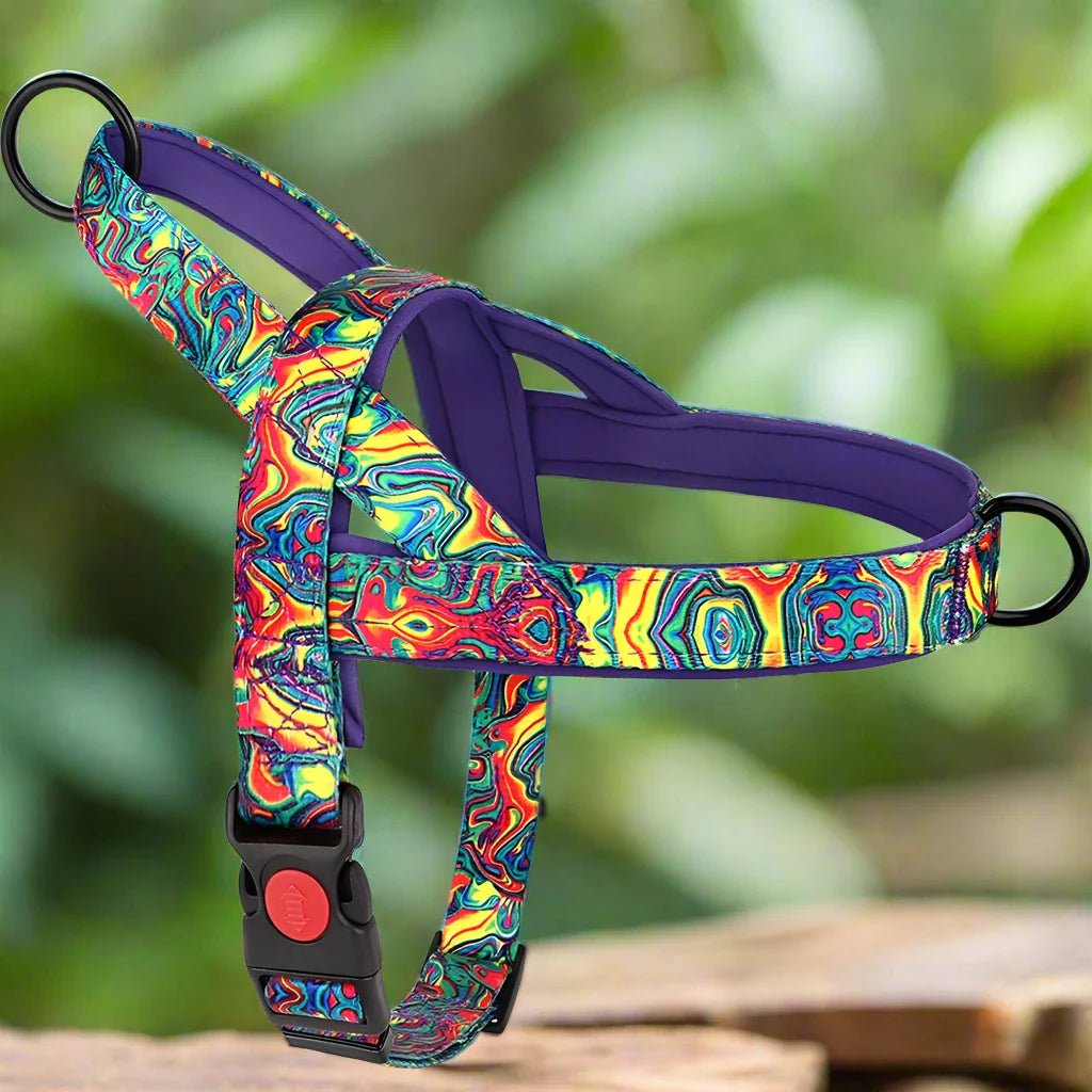 Harnais pour chien - DogSafeHarnessâą - Violet - empire chien