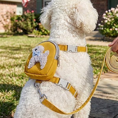 Harnais pour chien | Explora - empire chien