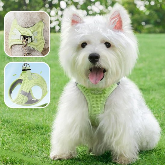 Harnais pour chien | HarnaisToutou - empire chien