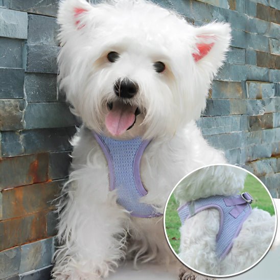 Harnais pour chien | HarnaisToutou - empire chien