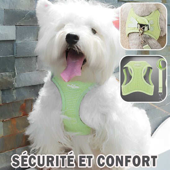 Harnais pour chien | HarnaisToutou - empire chien