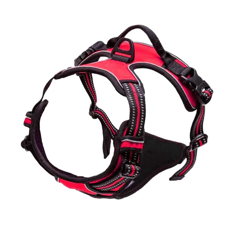 Harnais pour chien | LumiDog - empire chien