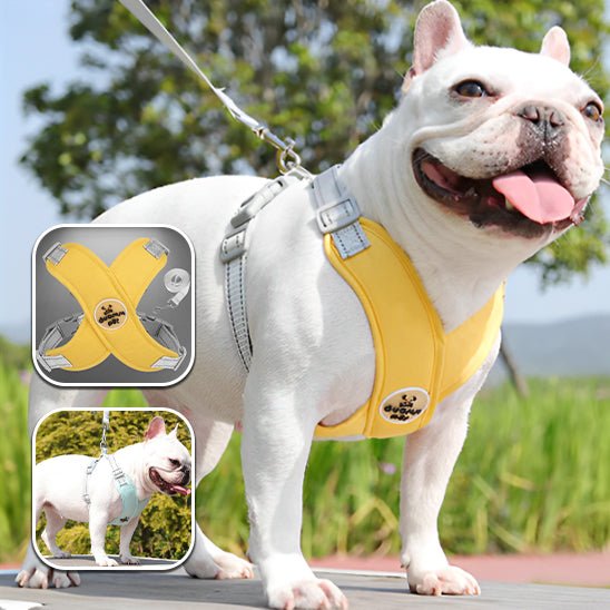 Harnais pour chien | PetiX - Confort - empire chien