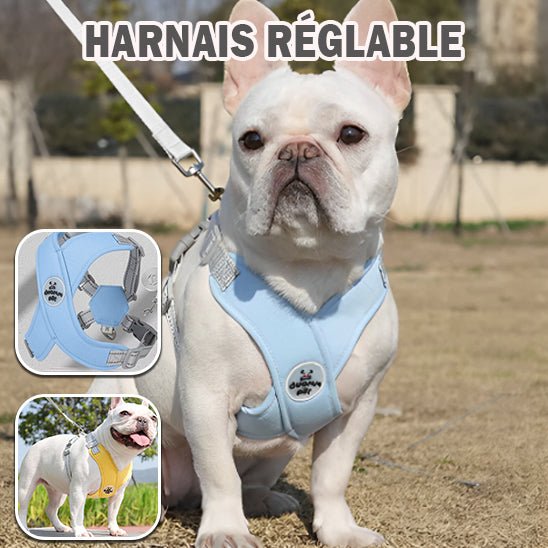 Harnais pour chien | PetiX - Confort - empire chien