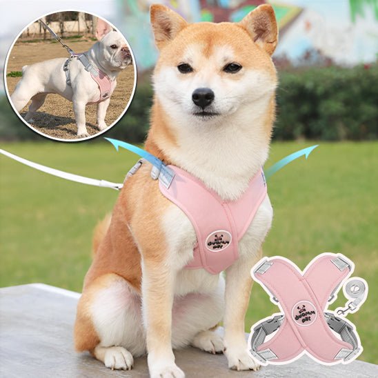 Harnais pour chien | PetiX - Confort - empire chien