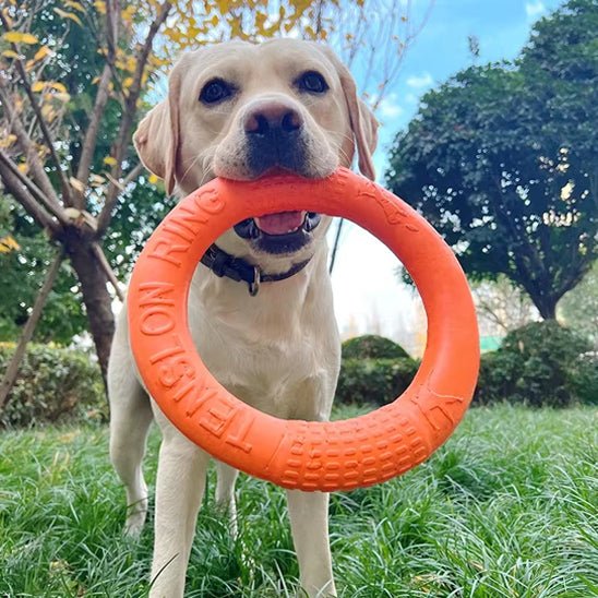 Jouet pour chien | AnneauFun - empire chien