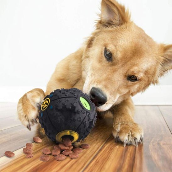 Jouet pour chien | BouleFun - empire chien