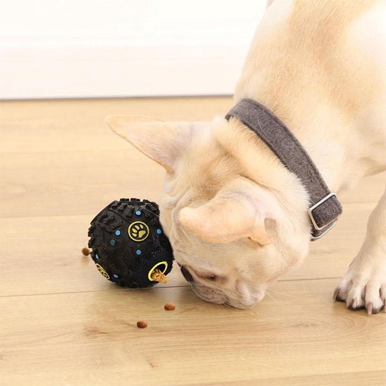 Jouet pour chien | BouleFun - empire chien