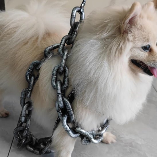 laisse chien | ChicLaisse - empire chien